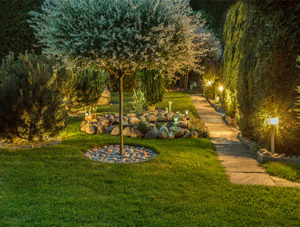 outdoor landscaping illuminated by low voltage lighting